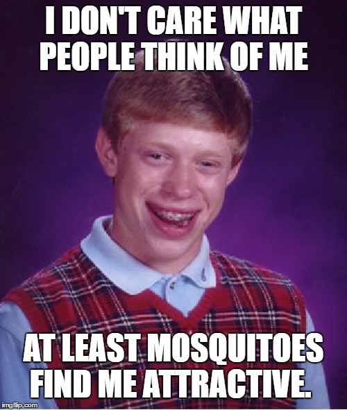 Bad Luck Brian Meme | I DON'T CARE WHAT PEOPLE THINK OF ME; AT LEAST MOSQUITOES FIND ME ATTRACTIVE. | image tagged in memes,bad luck brian,random,mosquitoes,people | made w/ Imgflip meme maker