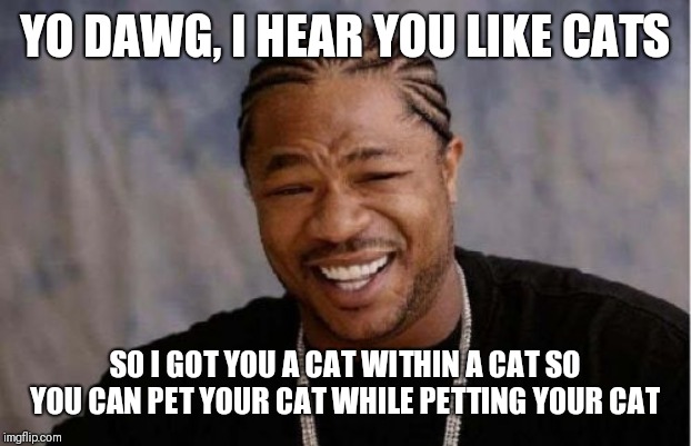 Yo Dawg Heard You Meme | YO DAWG, I HEAR YOU LIKE CATS SO I GOT YOU A CAT WITHIN A CAT SO YOU CAN PET YOUR CAT WHILE PETTING YOUR CAT | image tagged in memes,yo dawg heard you | made w/ Imgflip meme maker