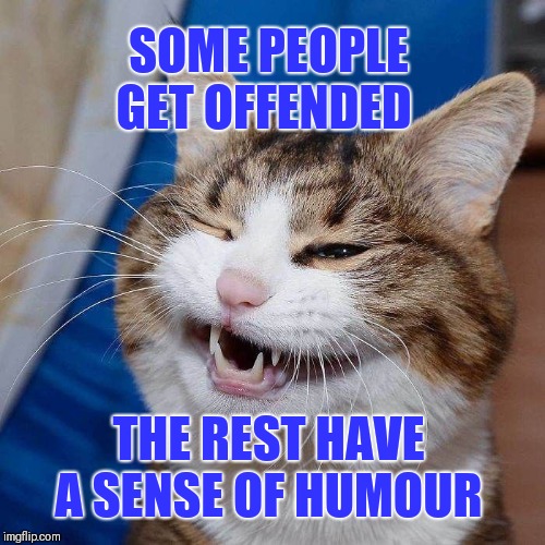 SOME PEOPLE GET OFFENDED; THE REST HAVE A SENSE OF HUMOUR | image tagged in cats,life is to short,why so serious | made w/ Imgflip meme maker