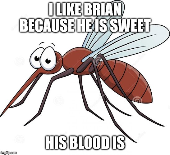 cute mosquito | I LIKE BRIAN BECAUSE HE IS SWEET HIS BLOOD IS | image tagged in cute mosquito | made w/ Imgflip meme maker