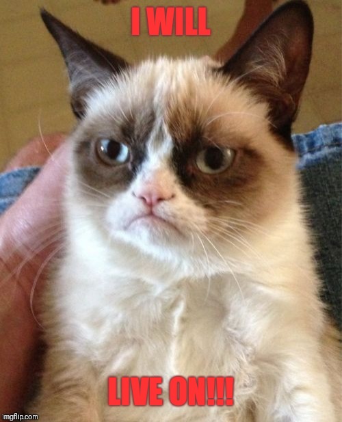 Grumpy Cat Meme | I WILL LIVE ON!!! | image tagged in memes,grumpy cat | made w/ Imgflip meme maker