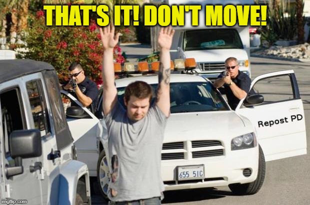 repost police | THAT'S IT! DON'T MOVE! | image tagged in repost police | made w/ Imgflip meme maker