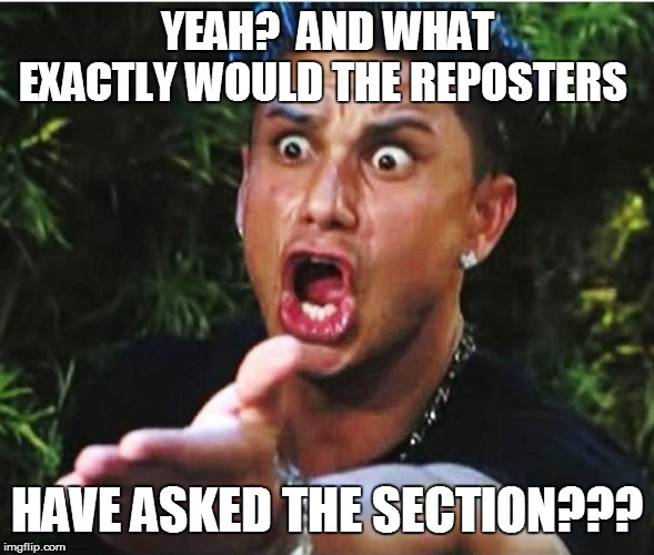 YEAH?  AND WHAT EXACTLY WOULD THE REPOSTERS HAVE ASKED THE SECTION??? | made w/ Imgflip meme maker