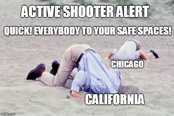 The California Field Manual for Active Shooter Response | ACTIVE SHOOTER ALERT; QUICK! EVERYBODY TO YOUR SAFE SPACES! CHICAGO; CALIFORNIA | image tagged in safe space,california,chicago,gun control,seems legit,morons | made w/ Imgflip meme maker