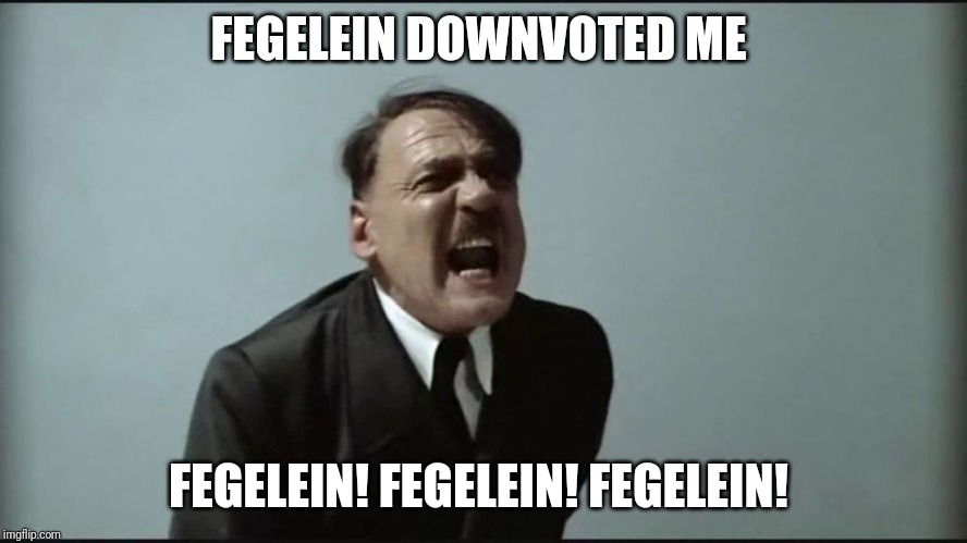 Fegelein! | FEGELEIN DOWNVOTED ME; FEGELEIN! FEGELEIN! FEGELEIN! | image tagged in fegelein | made w/ Imgflip meme maker