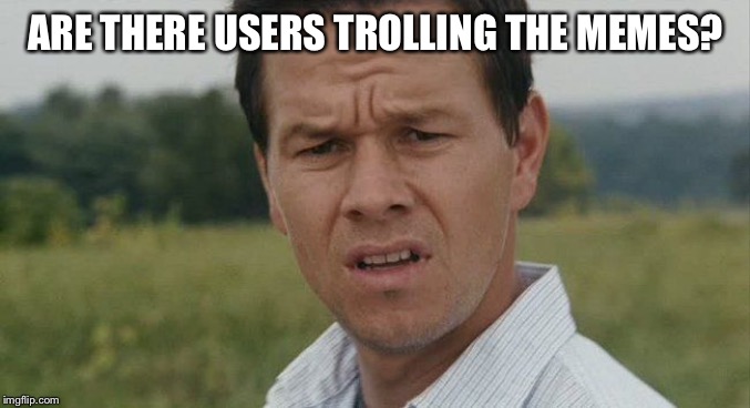 Mark Wahlburg confused | ARE THERE USERS TROLLING THE MEMES? | image tagged in mark wahlburg confused | made w/ Imgflip meme maker