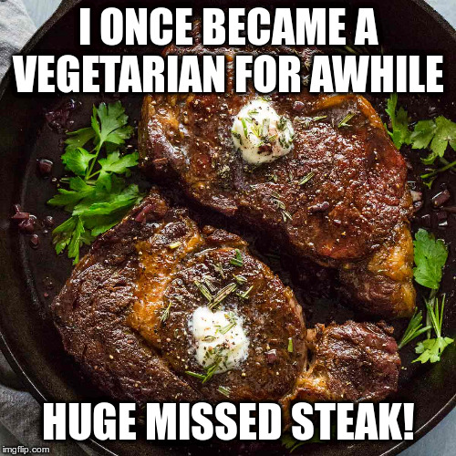 Bad pun groans! | I ONCE BECAME A VEGETARIAN FOR AWHILE; HUGE MISSED STEAK! | image tagged in humor,puns,funny,groan | made w/ Imgflip meme maker