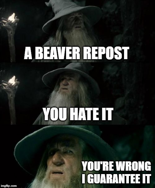 Confused Gandalf Meme | A BEAVER REPOST YOU HATE IT YOU'RE WRONG I GUARANTEE IT | image tagged in memes,confused gandalf | made w/ Imgflip meme maker