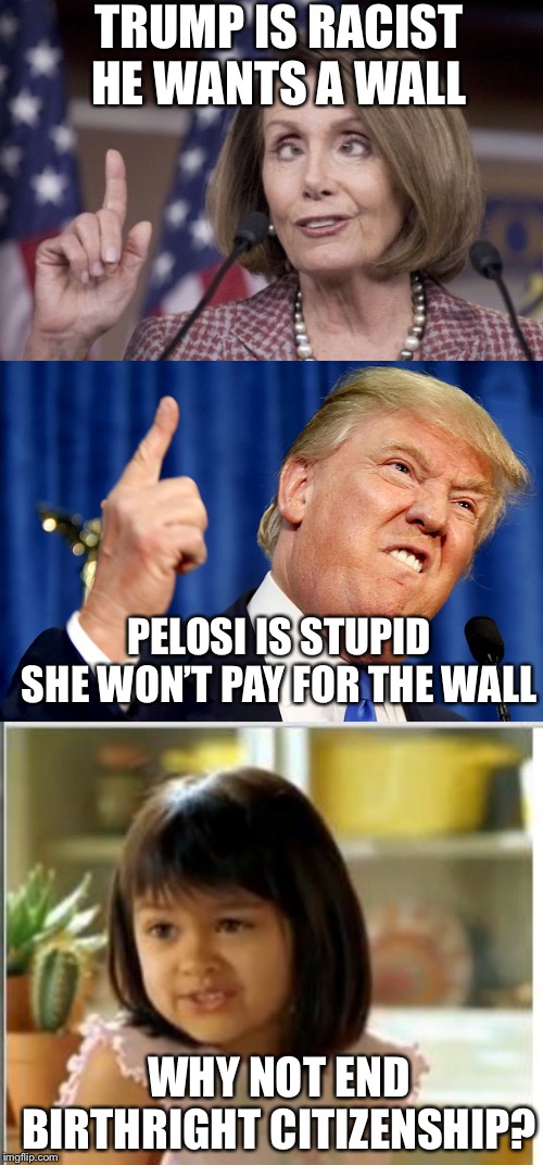 It would be cheaper and maybe more effective | TRUMP IS RACIST HE WANTS A WALL; PELOSI IS STUPID SHE WON’T PAY FOR THE WALL; WHY NOT END BIRTHRIGHT CITIZENSHIP? | image tagged in why not both,donald trump,nancy pelosi,memes,they took our jobs | made w/ Imgflip meme maker