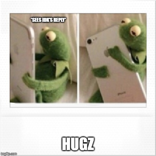 Kermit phone hug | *SEES IDK'S REPLY* HUGZ | image tagged in kermit phone hug | made w/ Imgflip meme maker
