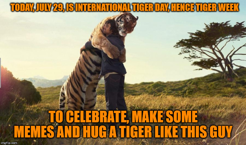 Happy Tiger Day! - Tiger Week 3, Jul 27 - Aug 2, a TigerLegend1046 event | TODAY, JULY 29, IS INTERNATIONAL TIGER DAY, HENCE TIGER WEEK; TO CELEBRATE, MAKE SOME MEMES AND HUG A TIGER LIKE THIS GUY | image tagged in memes,tiger,tiger week 3,tigerlegend1046,hug,tiger day | made w/ Imgflip meme maker