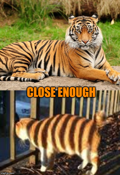 Close enough - Tiger Week 3, Jul 27 - Aug 2, a TigerLegend1046 event | CLOSE ENOUGH | image tagged in memes,tiger week 3,tigerlegend1046,cats,close enough | made w/ Imgflip meme maker