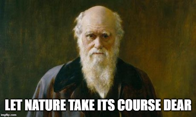 Charles Darwin | LET NATURE TAKE ITS COURSE DEAR | image tagged in charles darwin | made w/ Imgflip meme maker