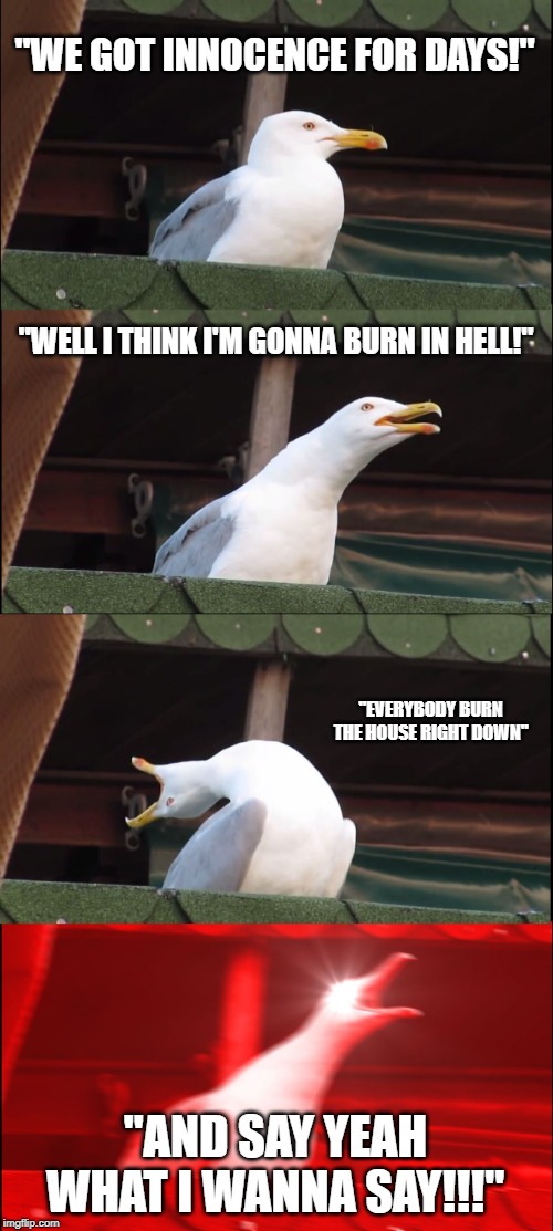 Inhaling Seagull | "WE GOT INNOCENCE FOR DAYS!"; "WELL I THINK I'M GONNA BURN IN HELL!"; "EVERYBODY BURN THE HOUSE RIGHT DOWN"; "AND SAY YEAH WHAT I WANNA SAY!!!" | image tagged in memes,inhaling seagull | made w/ Imgflip meme maker