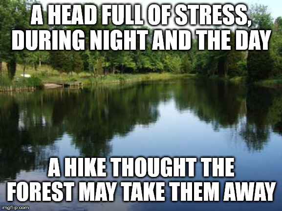 Well, it works for me, you know... Well, mostly. | A HEAD FULL OF STRESS, DURING NIGHT AND THE DAY; A HIKE THOUGHT THE FOREST MAY TAKE THEM AWAY | image tagged in on a lake | made w/ Imgflip meme maker