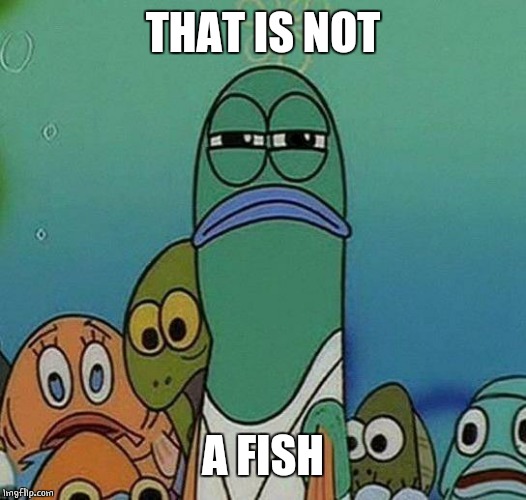 SpongeBob | THAT IS NOT A FISH | image tagged in spongebob | made w/ Imgflip meme maker