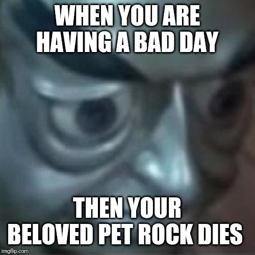 Depressed but then more depressed | WHEN YOU ARE HAVING A BAD DAY; THEN YOUR BELOVED PET ROCK DIES | image tagged in depressed but then more depressed | made w/ Imgflip meme maker