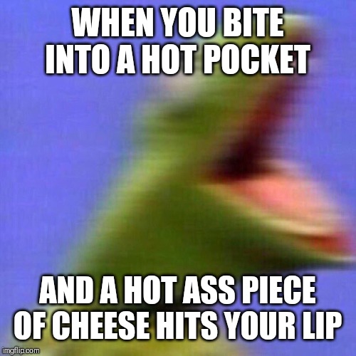 kermit screaming | WHEN YOU BITE INTO A HOT POCKET; AND A HOT ASS PIECE OF CHEESE HITS YOUR LIP | image tagged in kermit screaming | made w/ Imgflip meme maker