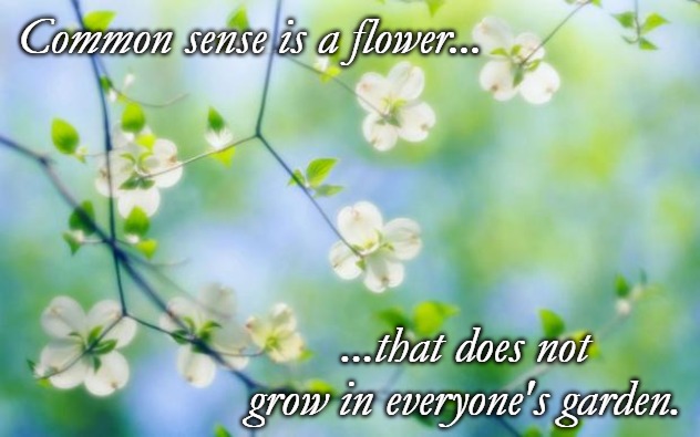 flowers | Common sense is a flower... ...that does not grow in everyone's garden. | image tagged in flowers | made w/ Imgflip meme maker