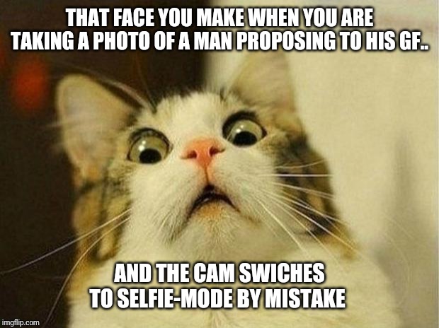 Scared Cat | THAT FACE YOU MAKE WHEN YOU ARE TAKING A PHOTO OF A MAN PROPOSING TO HIS GF.. AND THE CAM SWICHES TO SELFIE-MODE BY MISTAKE | image tagged in memes,scared cat | made w/ Imgflip meme maker