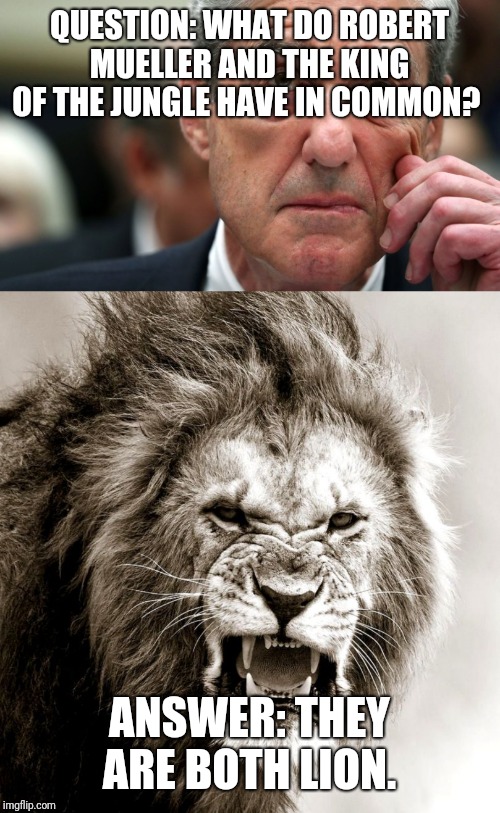 Mueller | QUESTION: WHAT DO ROBERT MUELLER AND THE KING OF THE JUNGLE HAVE IN COMMON? ANSWER: THEY ARE BOTH LION. | image tagged in robert mueller | made w/ Imgflip meme maker