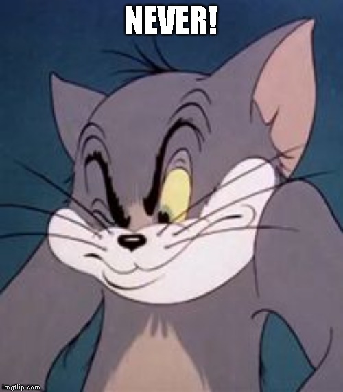 Tom cat | NEVER! | image tagged in tom cat | made w/ Imgflip meme maker