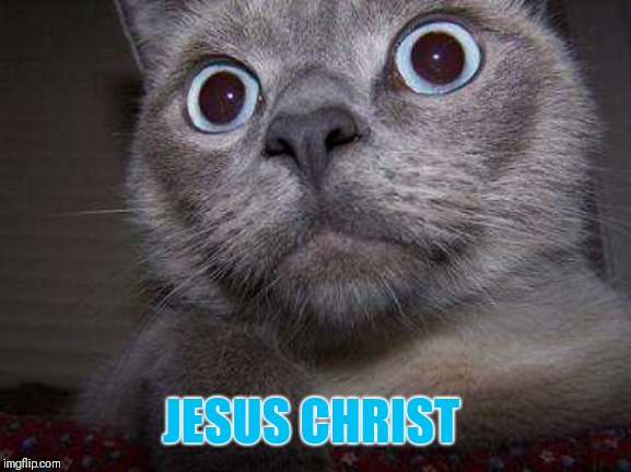 Freaky eye cat | JESUS CHRIST | image tagged in freaky eye cat | made w/ Imgflip meme maker