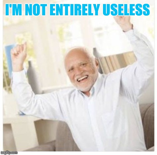 I'M NOT ENTIRELY USELESS | made w/ Imgflip meme maker
