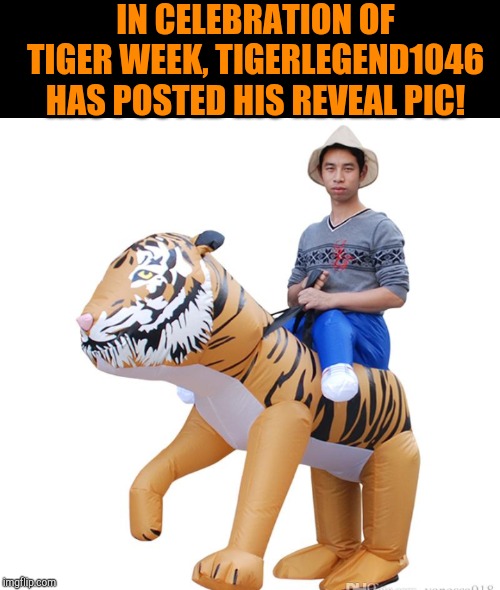 lol I'm sure he's better looking than this :-) Tiger Week 3, July 27 - August 2, a TigerLegend1046 event! | IN CELEBRATION OF TIGER WEEK, TIGERLEGEND1046 HAS POSTED HIS REVEAL PIC! | image tagged in tigerlegend1046,tiger week 3,tiger week,jbmemegeek,memes | made w/ Imgflip meme maker