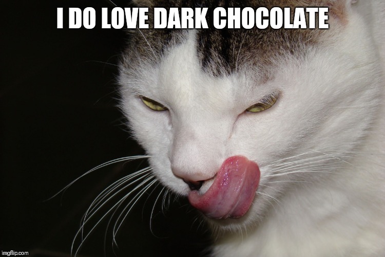 YUMMY | I DO LOVE DARK CHOCOLATE | image tagged in yummy | made w/ Imgflip meme maker