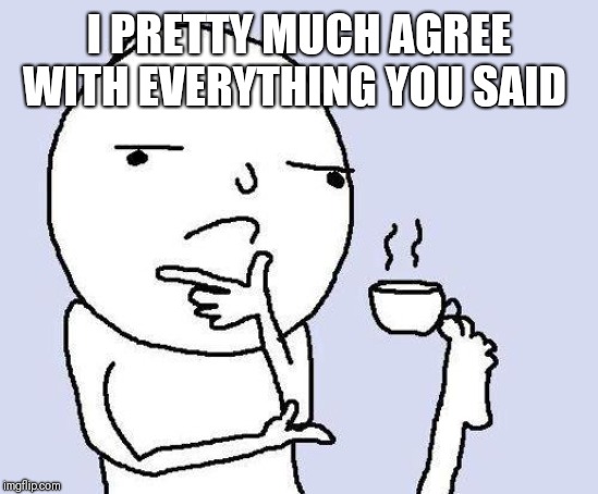 thinking meme | I PRETTY MUCH AGREE WITH EVERYTHING YOU SAID | image tagged in thinking meme | made w/ Imgflip meme maker