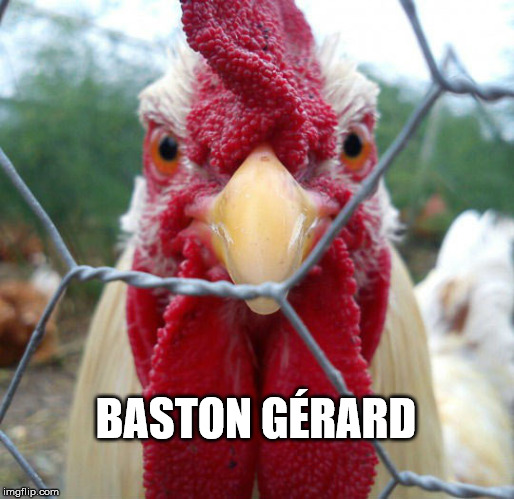 baston gerard |  BASTON GÉRARD | image tagged in chicken,fight,gerard,dijon,poulet,gaston | made w/ Imgflip meme maker