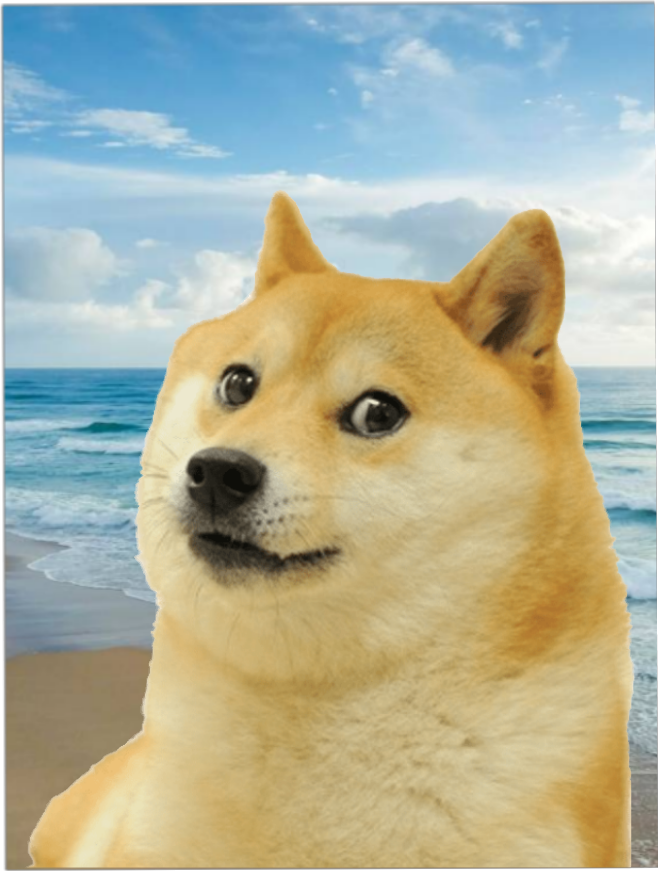 High Quality Beach Doge Blank Meme Template