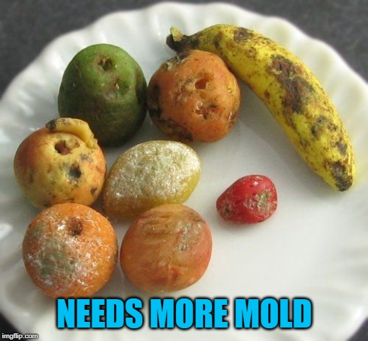Moldy fruit | NEEDS MORE MOLD | image tagged in moldy fruit | made w/ Imgflip meme maker