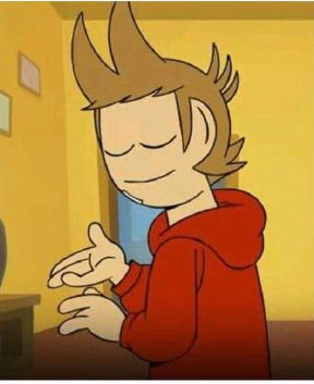 High Quality Tord face of mercy Blank Meme Template