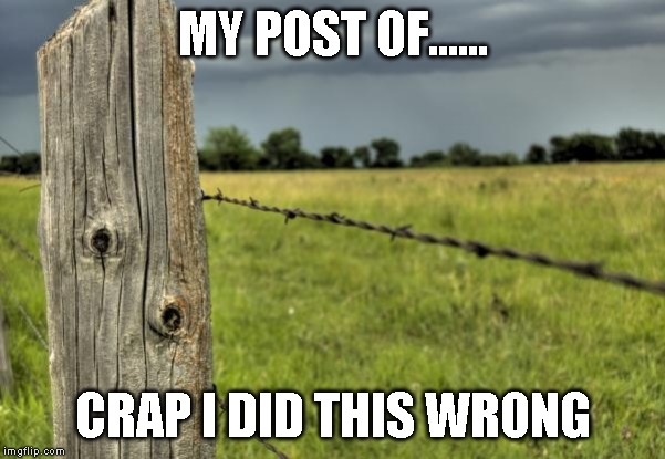 Makes rude sound with mouth | MY POST OF...... CRAP I DID THIS WRONG | image tagged in fence post,reposts are so hot right now | made w/ Imgflip meme maker