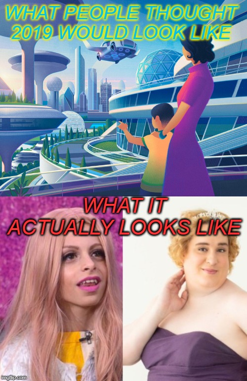 dystopia today | WHAT PEOPLE THOUGHT 2019 WOULD LOOK LIKE; WHAT IT ACTUALLY LOOKS LIKE | image tagged in transgender,drag kids | made w/ Imgflip meme maker