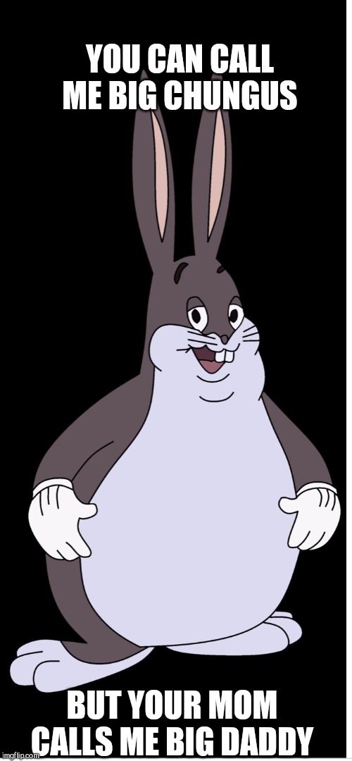 Johanna | YOU CAN CALL ME BIG CHUNGUS; BUT YOUR MOM CALLS ME BIG DADDY | image tagged in johanna | made w/ Imgflip meme maker
