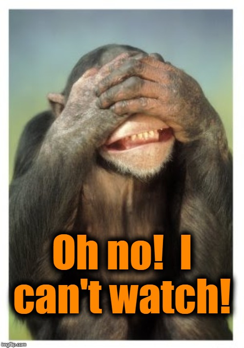 Monkey covers eyes | Oh no!  I can't watch! | image tagged in monkey covers eyes | made w/ Imgflip meme maker