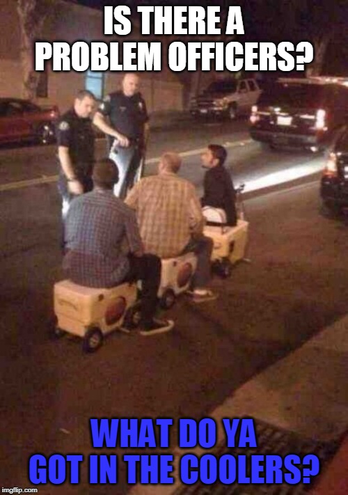 WHAT THE HELL? | IS THERE A PROBLEM OFFICERS? WHAT DO YA GOT IN THE COOLERS? | image tagged in wtf,cops,drunk | made w/ Imgflip meme maker