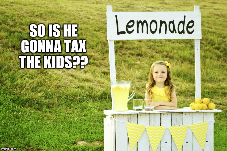 Lemonade stand | SO IS HE GONNA TAX THE KIDS?? | image tagged in lemonade stand | made w/ Imgflip meme maker