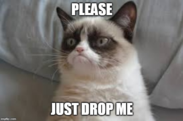 Grumpy cat | PLEASE JUST DROP ME | image tagged in grumpy cat | made w/ Imgflip meme maker