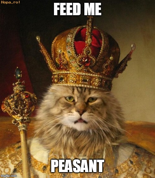 King cat | FEED ME PEASANT | image tagged in king cat | made w/ Imgflip meme maker