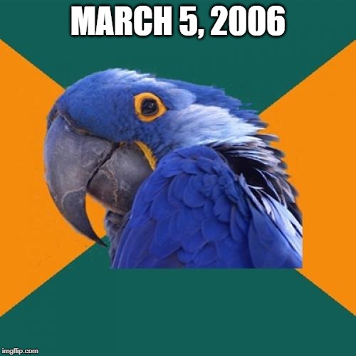 March 5, 2006 | MARCH 5, 2006 | image tagged in memes,paranoid parrot | made w/ Imgflip meme maker