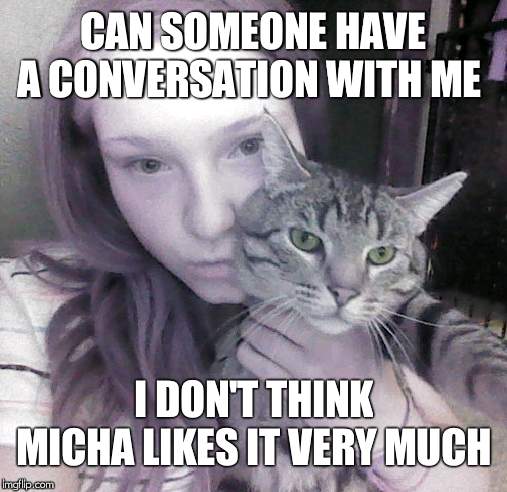 CAN SOMEONE HAVE A CONVERSATION WITH ME; I DON'T THINK MICHA LIKES IT VERY MUCH | image tagged in cat,cats | made w/ Imgflip meme maker