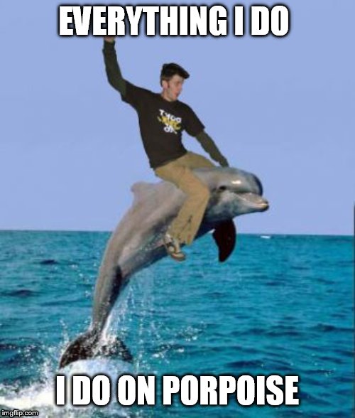 EVERYTHING I DO; I DO ON PORPOISE | image tagged in dolphin | made w/ Imgflip meme maker