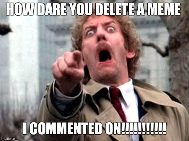 Screaming Donald Sutherland | HOW DARE YOU DELETE A MEME I COMMENTED ON!!!!!!!!!!! | image tagged in screaming donald sutherland | made w/ Imgflip meme maker