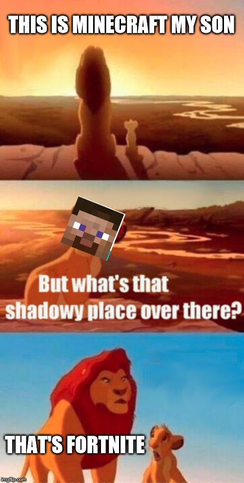 Simba Shadowy Place | THIS IS MINECRAFT MY SON; THAT'S FORTNITE | image tagged in memes,simba shadowy place | made w/ Imgflip meme maker
