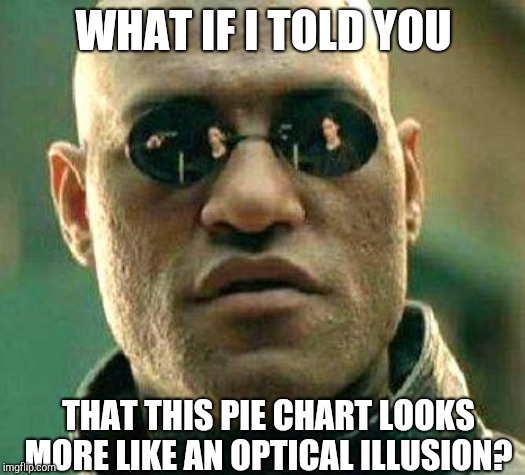 What if i told you | WHAT IF I TOLD YOU THAT THIS PIE CHART LOOKS MORE LIKE AN OPTICAL ILLUSION? | image tagged in what if i told you | made w/ Imgflip meme maker