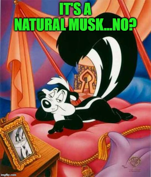 IT'S A NATURAL MUSK...NO? | made w/ Imgflip meme maker